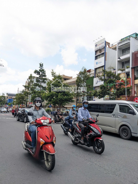 Biệt Thự Quận 1, Có Hồ Bơi, ngay Tao Đàn, 277m2, 4 tầng, chỉ 81 tỷ, Quá Rẻ