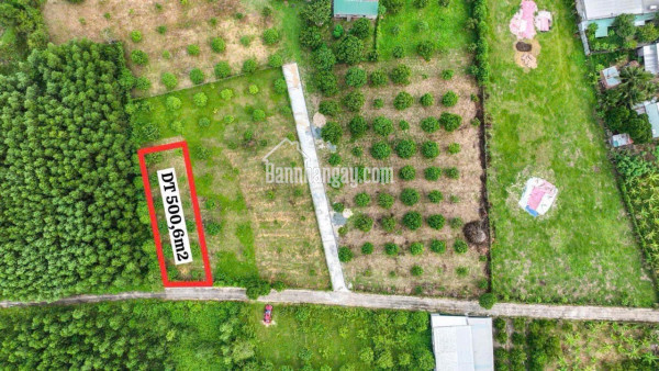 Bán nhà : Mương Tháo - Diên Phú - Khánh Hoà
Diện tích 100m2 (full thổ cư)