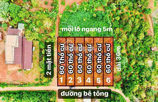 Đảo ôm hồ 1.3ha sẵn 60m2 thổ cư mới xuống 200 cây sầu, full cà phê có nhà điện nước đầy đủ giá 1,