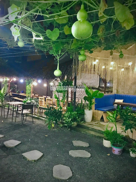 CHÍNH CHỦ SANG NHƯỢNG QUÁN CAFE SÂN VƯỜN RỘNG 500m2 Ở LÊ ĐỨC THỌ, P.16, GÒ VẤP